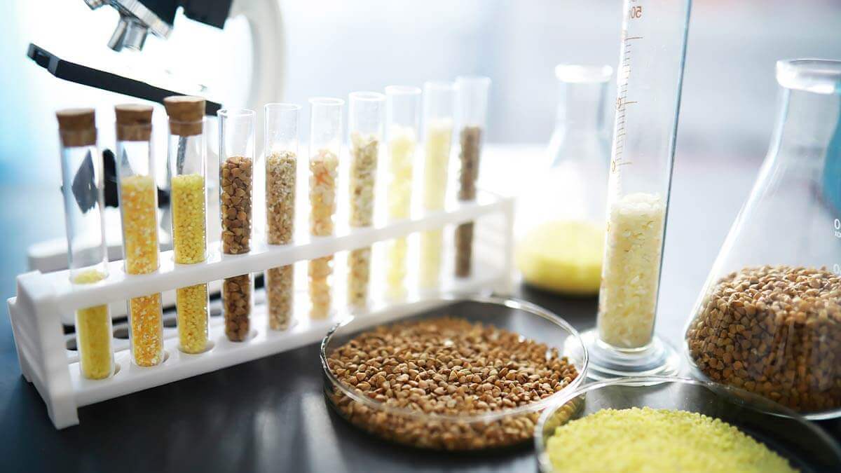 analisi nocciole/mandorle